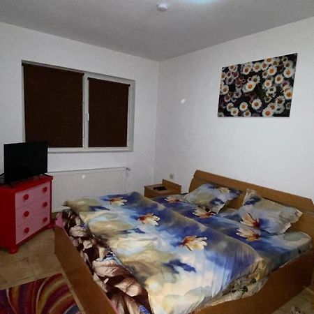 Apartament Cochet Leilighet Bucureşti Eksteriør bilde